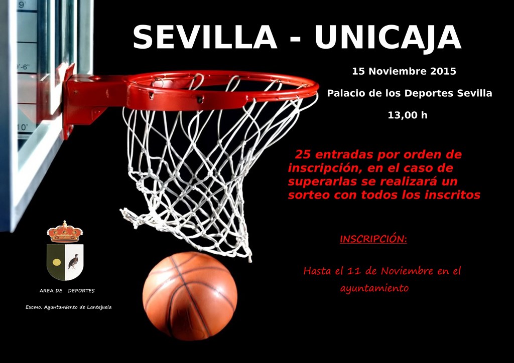 cartel baloncesto