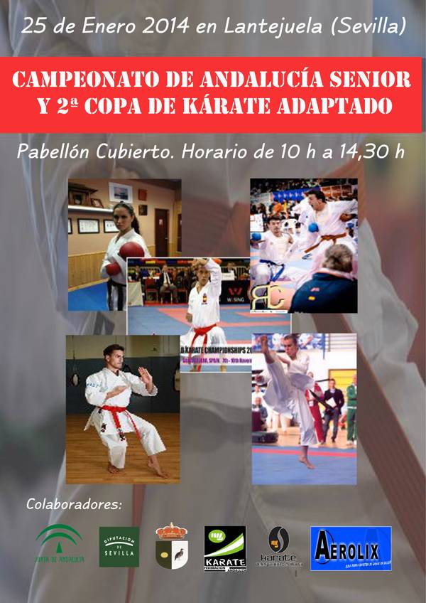 cartel campeonato de karate valido