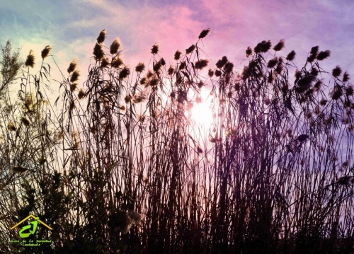 cartel exposición juventud 11