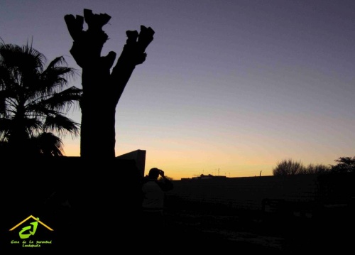 cartel exposición juventud 18