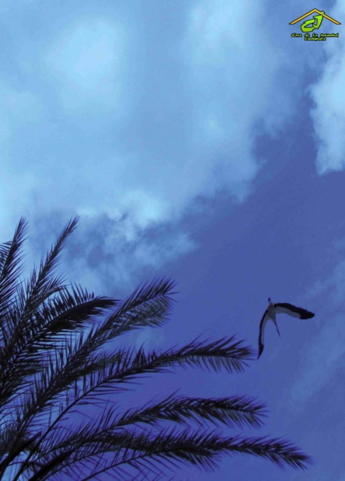 cartel exposición juventud 20