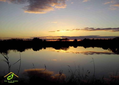 cartel exposición juventud 6