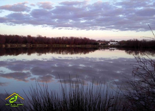 cartel exposición juventud 7