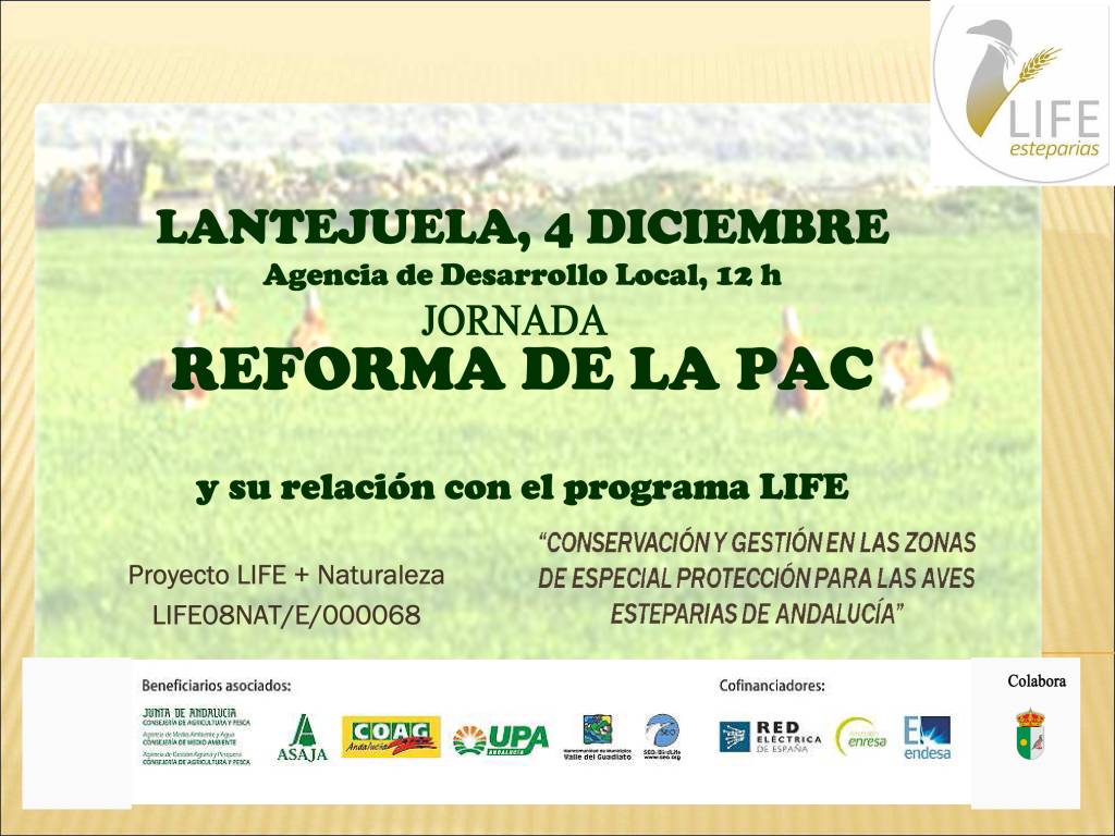 cartel jornada pac