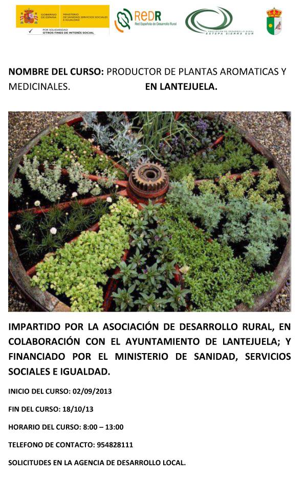 cartel plantas aromaticas