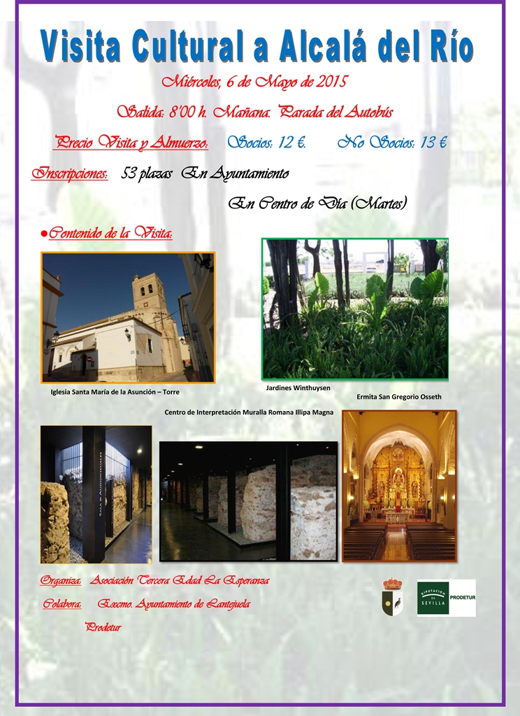 cartel visita alcala del rio