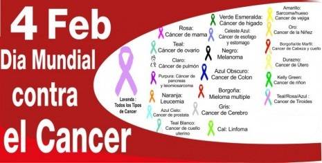 dm-cancer-2013-tipo-de-cancer
