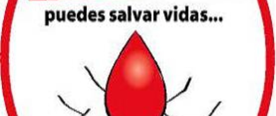 dona_sangre.jpg