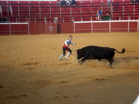 feria_36_450