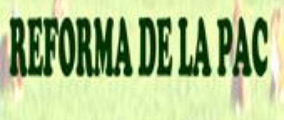 jornada_reforma_de_la_pac.jpg
