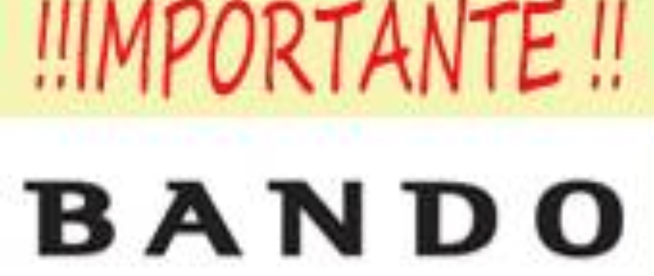 noticiaBANDO.jpg