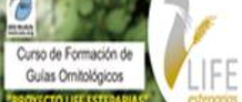 noticia_curso_guia_ornitolxgico-1.jpg
