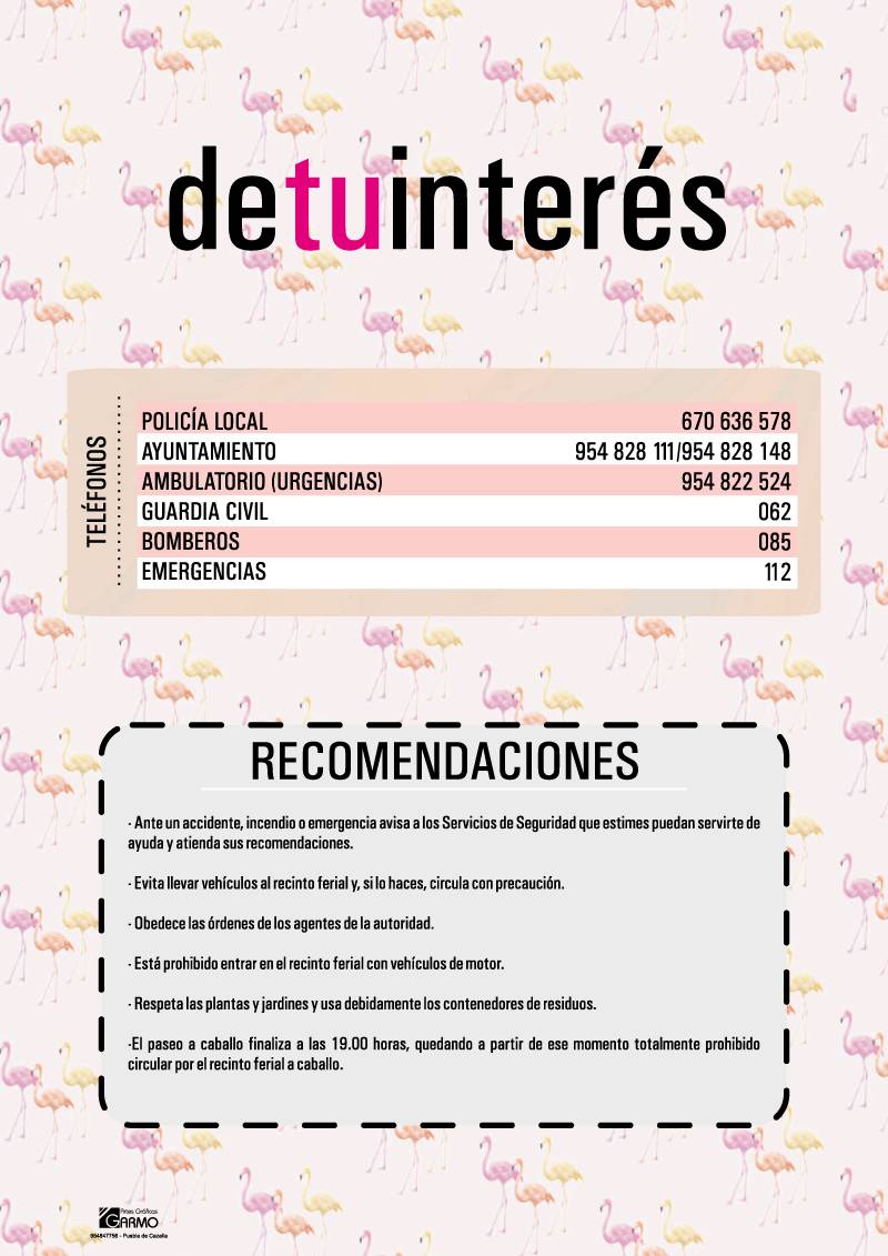 recomendaciones