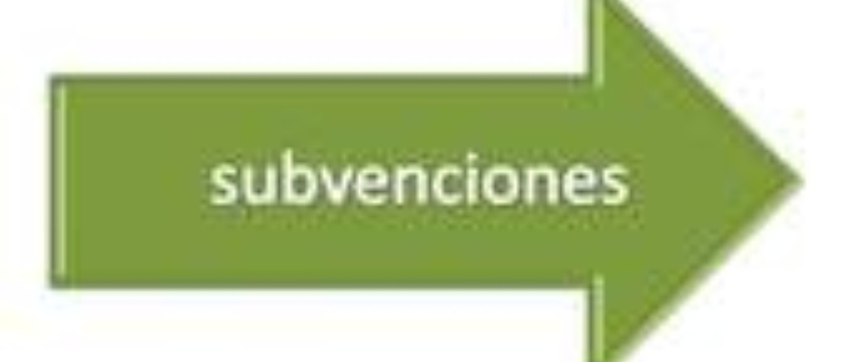 subvencixn.jpg