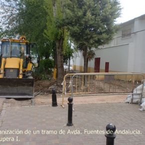 CIMG8672avenida_Fuentes_de_Andalucxa