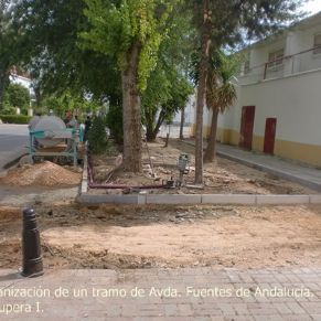 CIMG8876avenida_Fuentes_de_Andalucxa