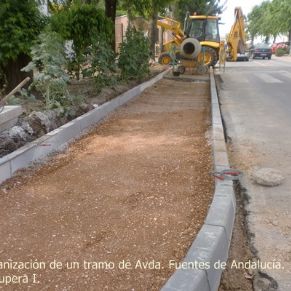 CIMG8882avenida_Fuentes_de_Andalucxa